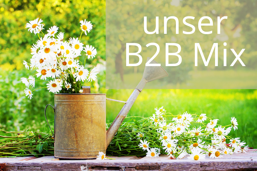 Angebot: B2B Mix